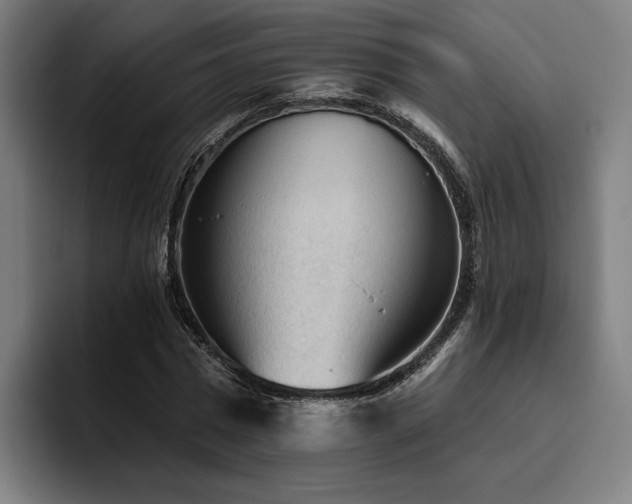 X0000094810777200711161506