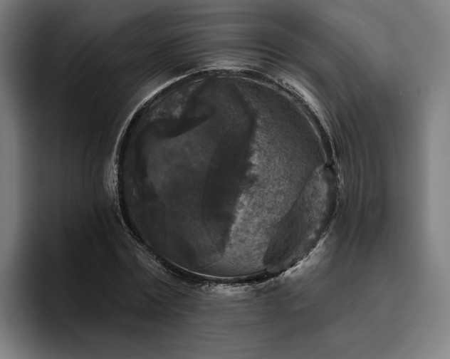 X0000094810779200711161506