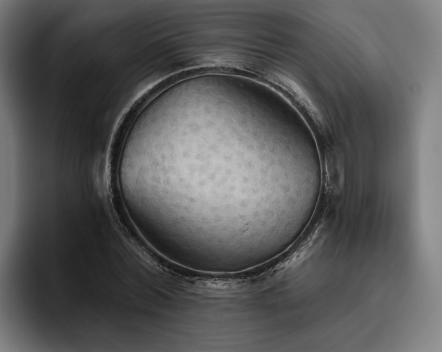 X0000094810780200711161506