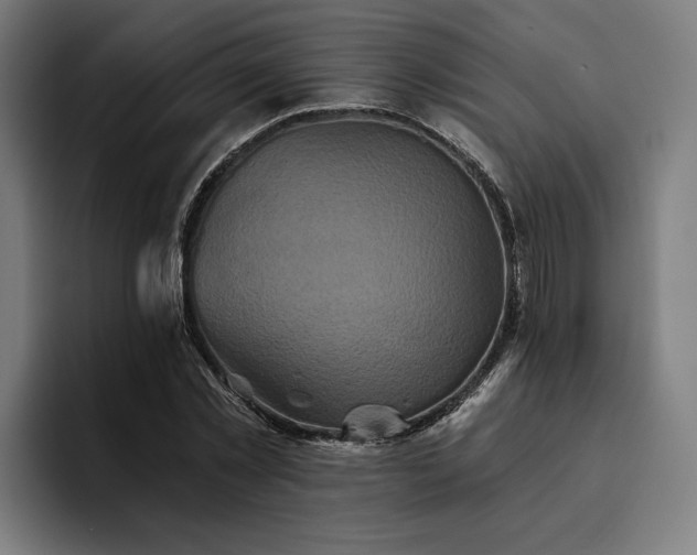 X0000094810781200711161506