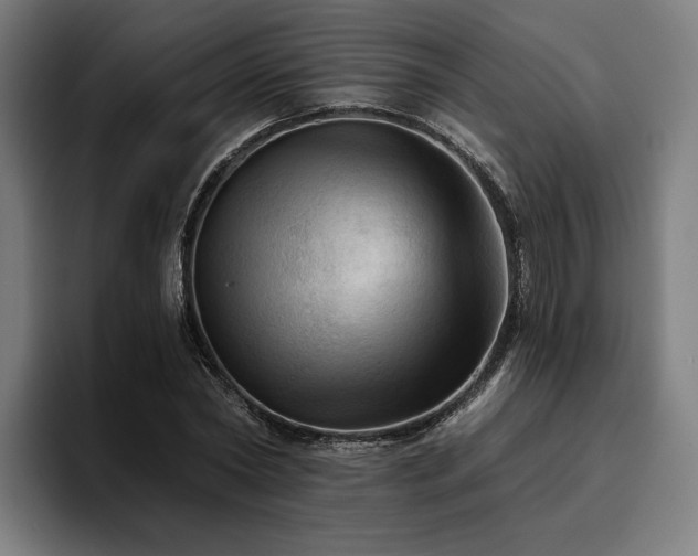X0000094810782200711161506