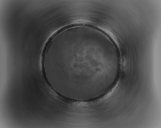 X0000094810783200711161506