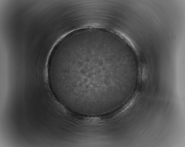 X0000094810784200711161506
