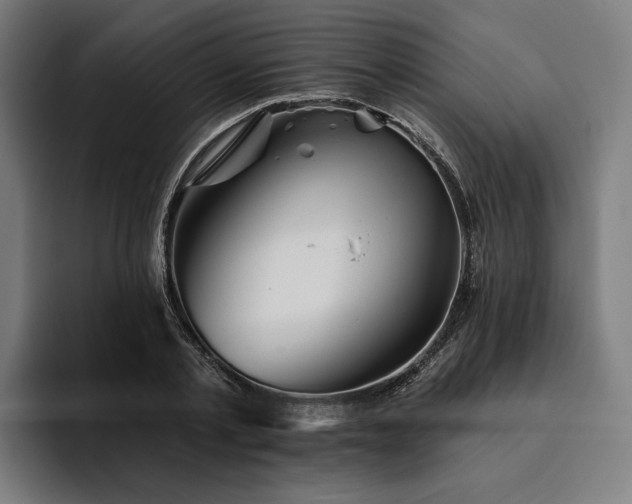 X0000094810789200711161506