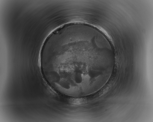 X0000094810791200711161506