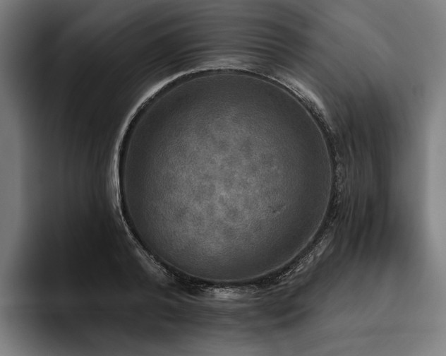 X0000094810792200711161506