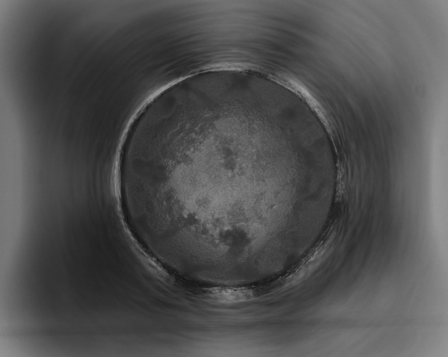 X0000094810795200711161506