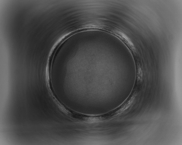X0000094810796200711161506