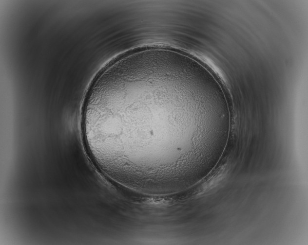 X0000094810799200711161506