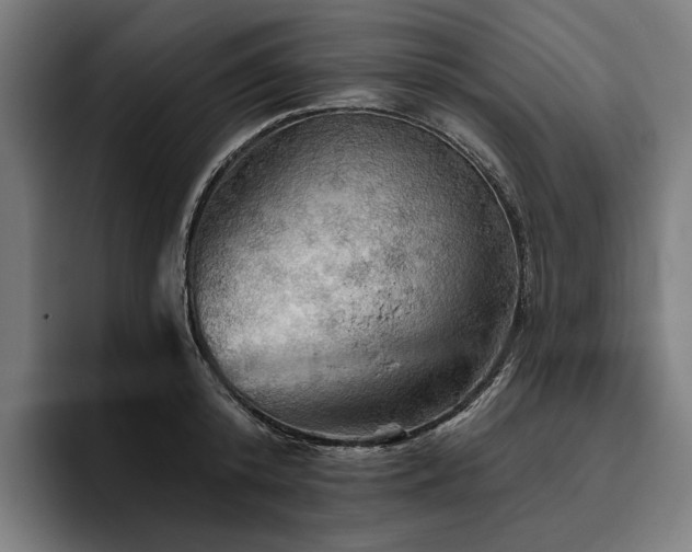 X0000094810800200711161506