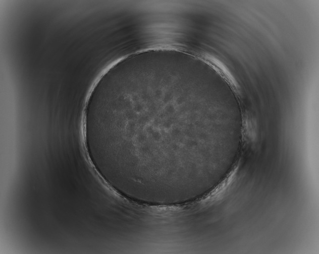 X0000094810804200711161506
