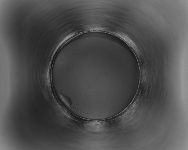X0000094810806200711161506