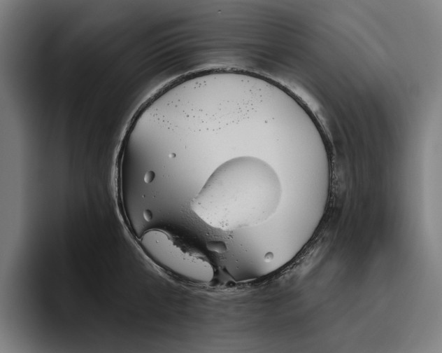 X0000094810807200711161506