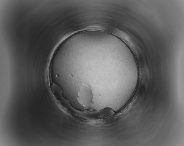 X0000094810808200711161506
