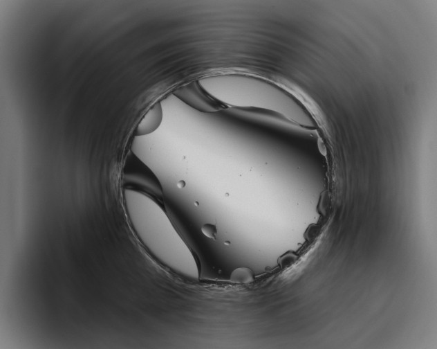 X0000094810809200711161506