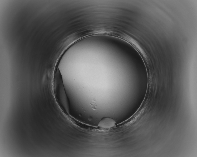 X0000094810810200711161506