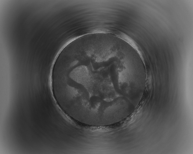 X0000094810811200711161506