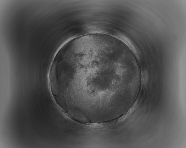 X0000094810814200711161506