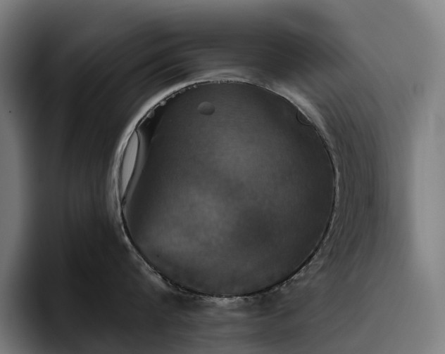 X0000094810816200711161506