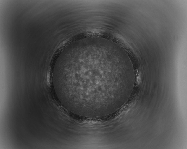 X0000094810819200711161505