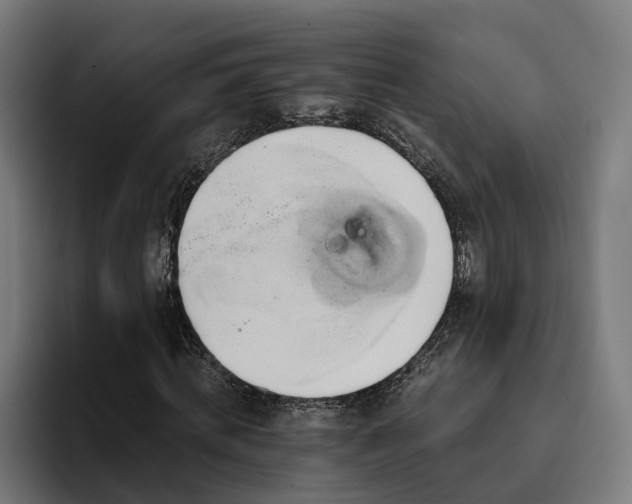 X0000094810820200711161505