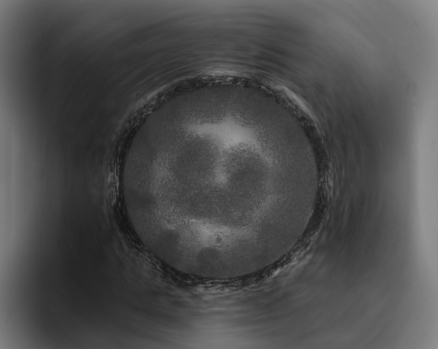 X0000094810821200711161505