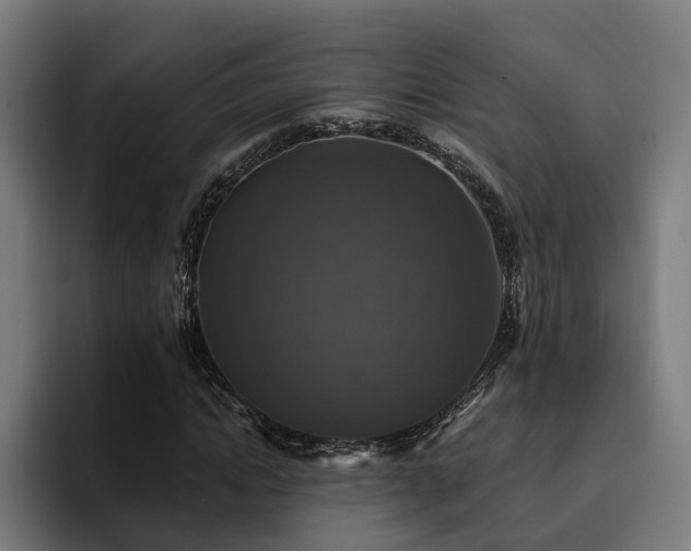 X0000094810822200711161505