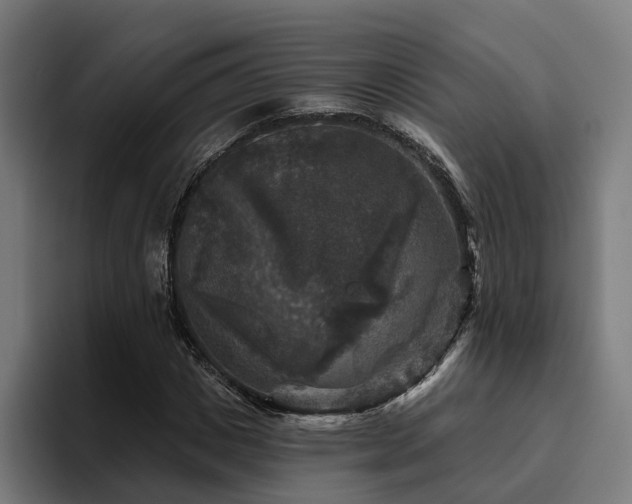 X0000094810825200711161505
