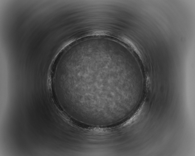 X0000094810827200711161505
