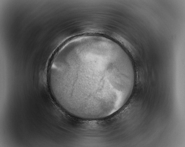 X0000094810828200711161505
