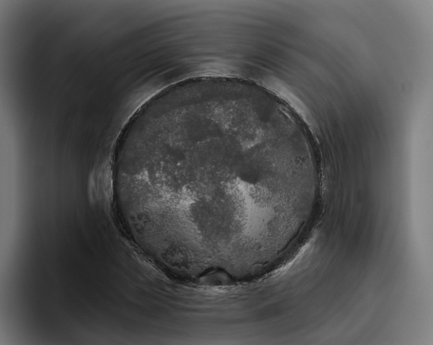 X0000094810829200711161505