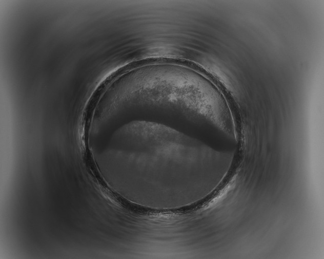 X0000094810830200711161505