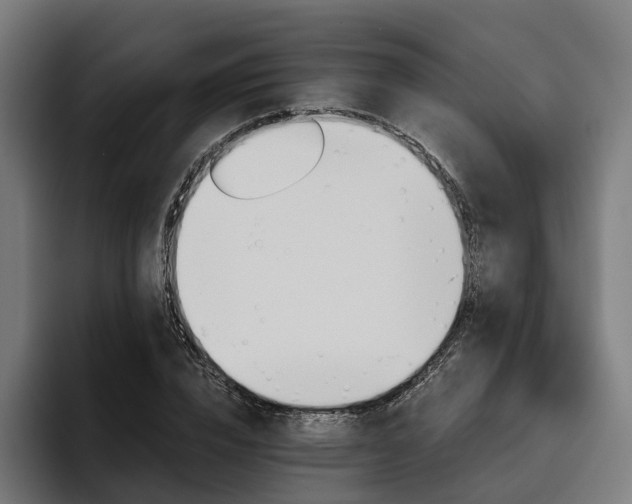 X0000094810832200711161506
