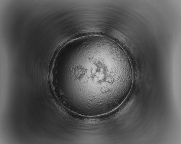 X0000094810833200711161506