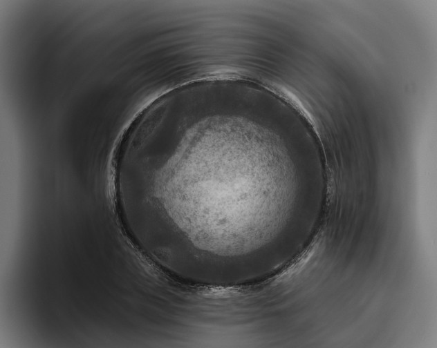 X0000094810835200711161506
