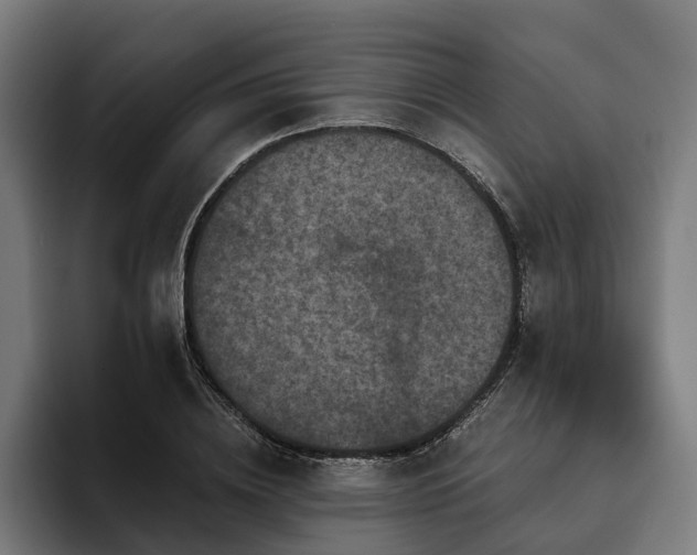 X0000094810836200711161506