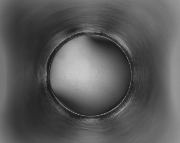 X0000094810837200711161506