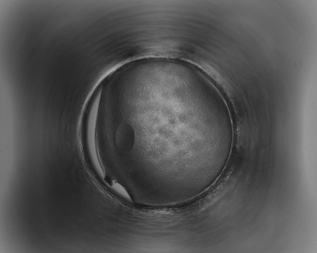 X0000094810838200711161506