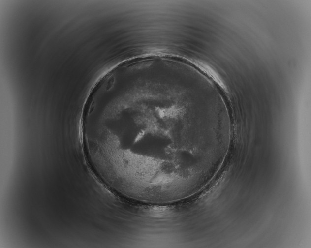 X0000094810839200711161506