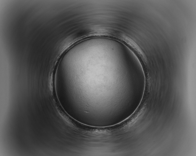 X0000094810842200711161506