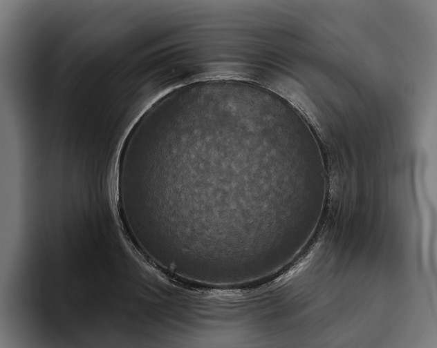 X0000094810844200711161506