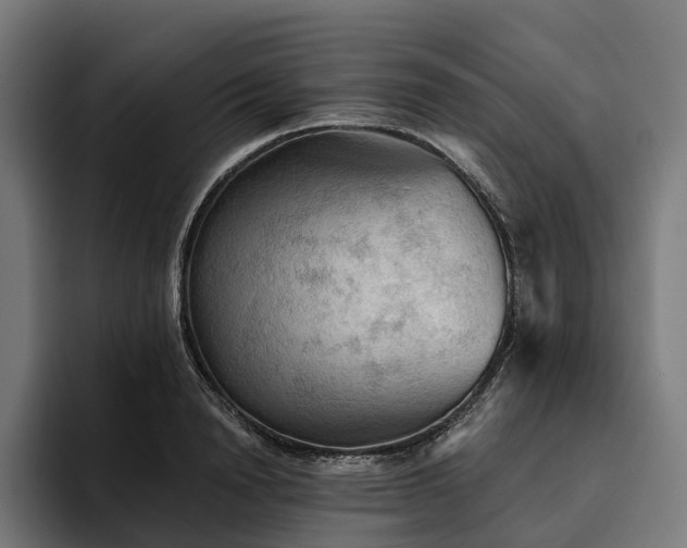 X0000094810846200711161506