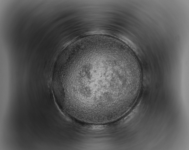 X0000094810849200711161506