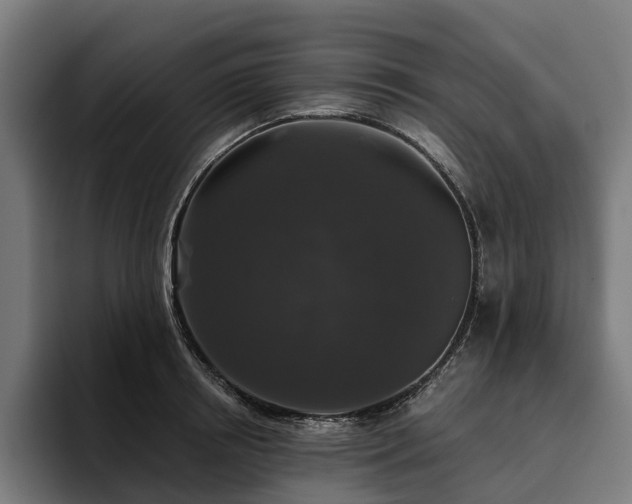 X0000094810850200711161506