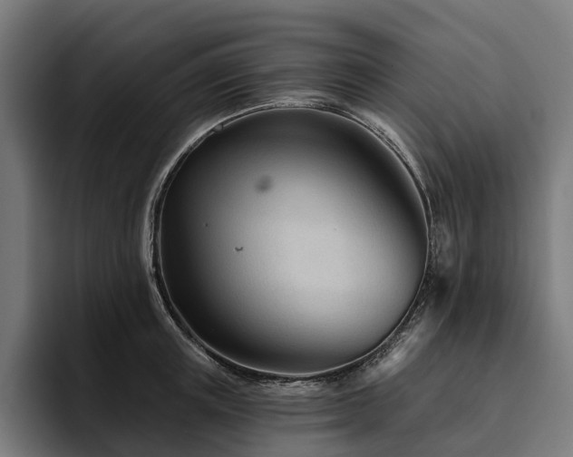X0000094810851200711161506