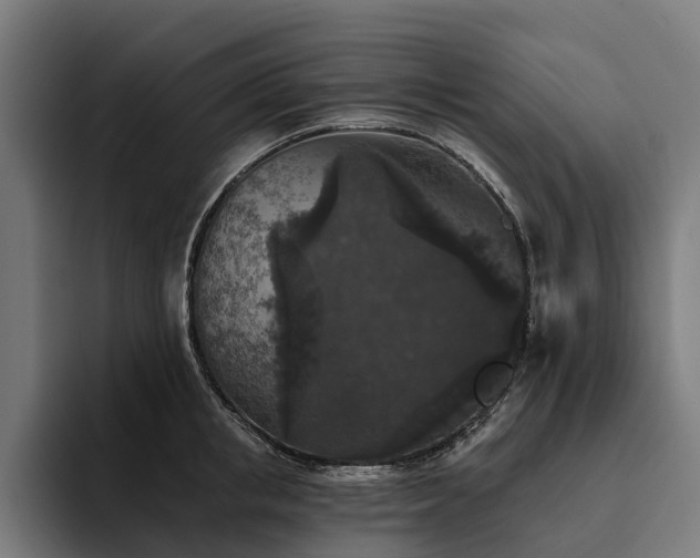 X0000094810853200711161506