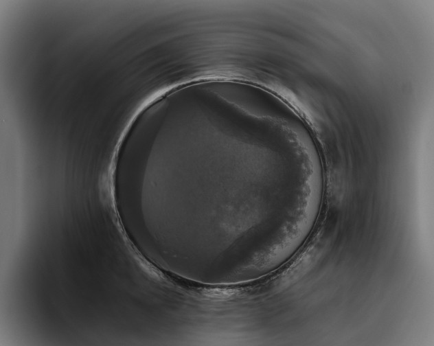 X0000094810854200711161506