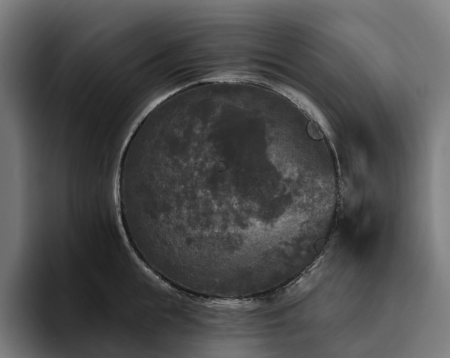 X0000094810855200711161506