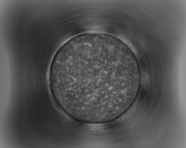 X0000094810856200711161506