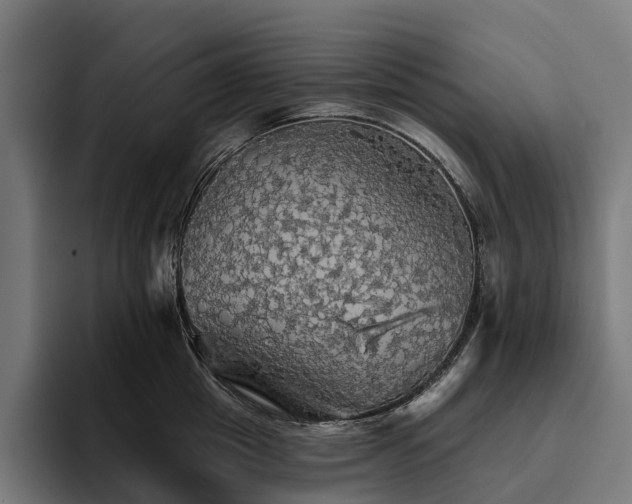 X0000094810857200711161506